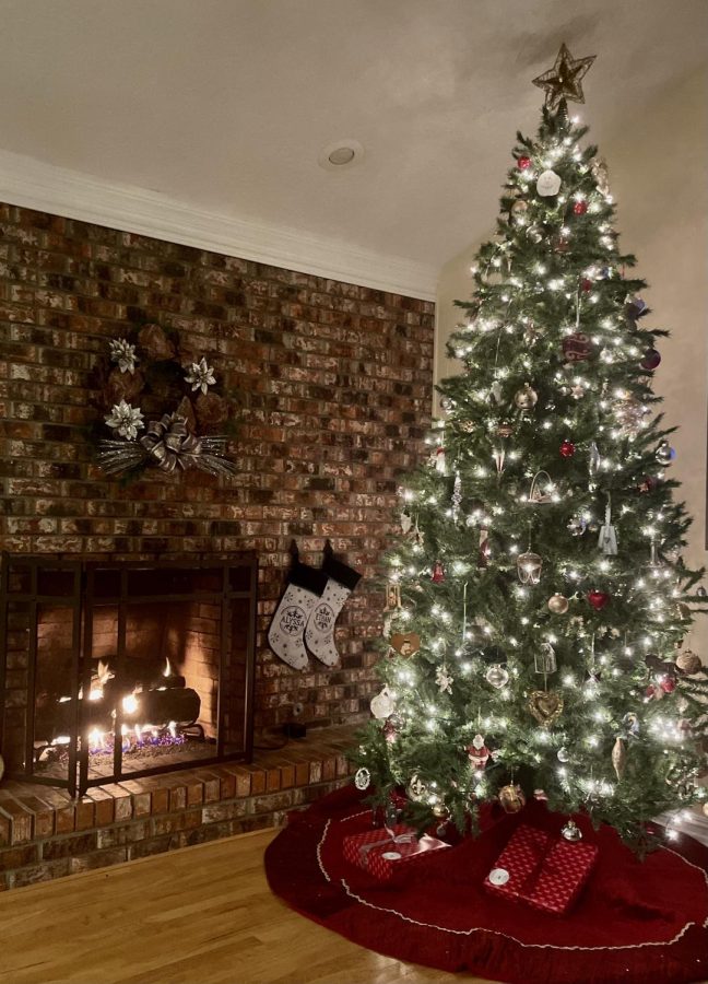 Fire crackles next to a decorated tree.