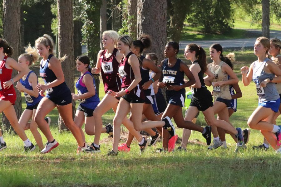 Cross Country team starts off race.