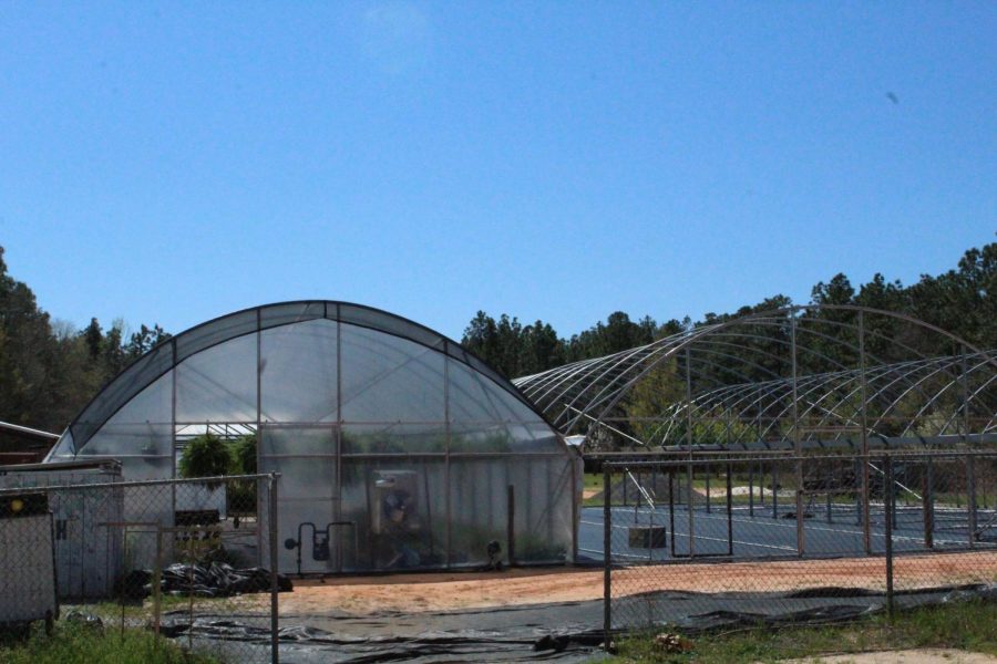 Greenhouses are restored and ready for growing. 